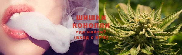 гидра Козловка