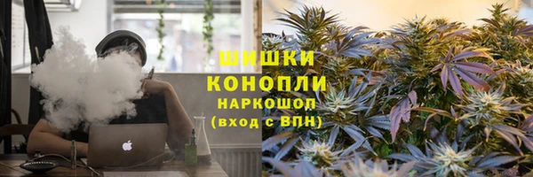 гидра Козловка