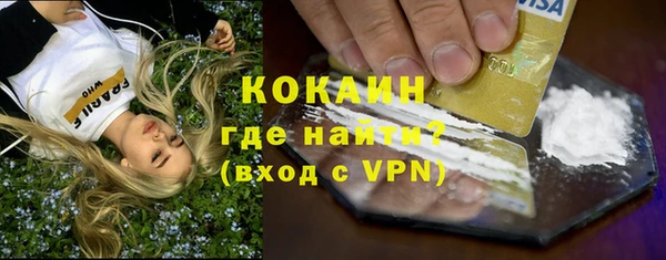 гидра Козловка