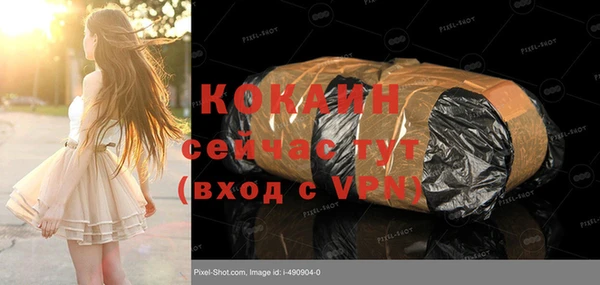 гидра Козловка