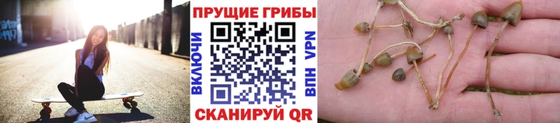 Псилоцибиновые грибы мухоморы  Кызыл 